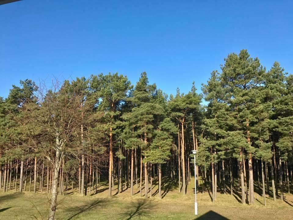 Kranto Vila Palanga Eksteriør bilde